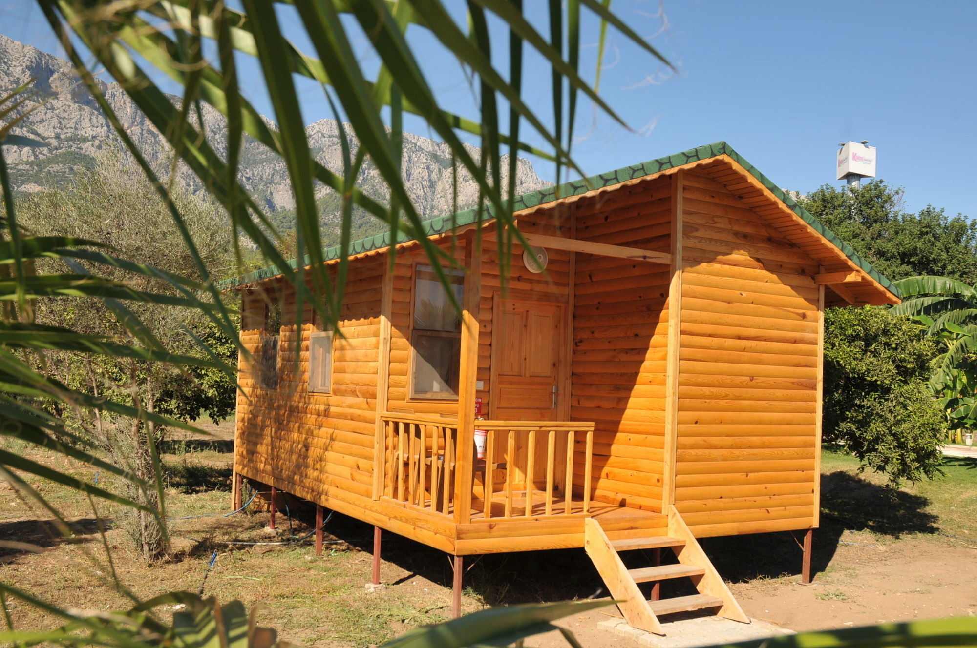 Elamir Resort Hotel Kemer Zewnętrze zdjęcie